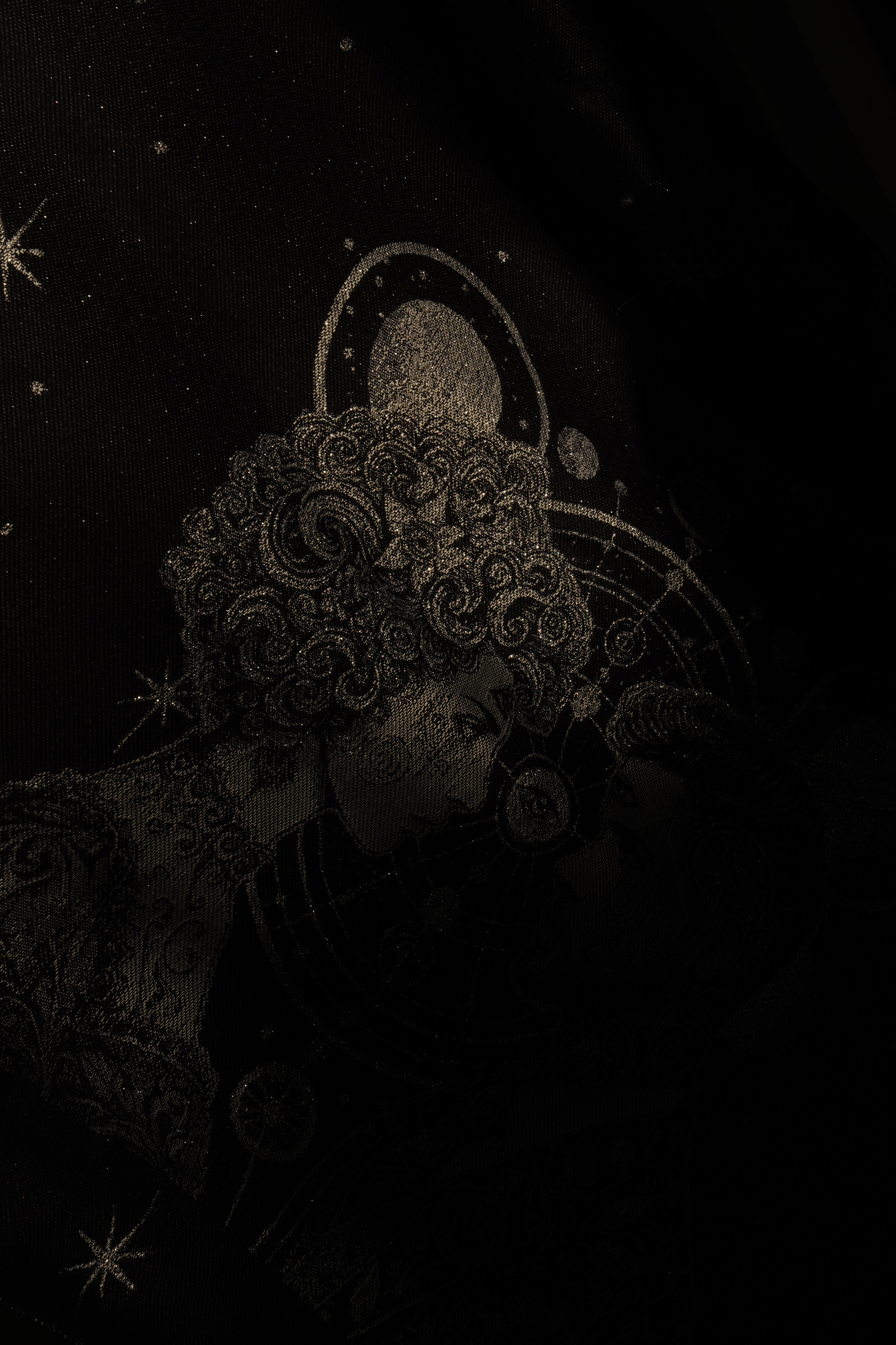 Draagzak Flip Vega en Altair