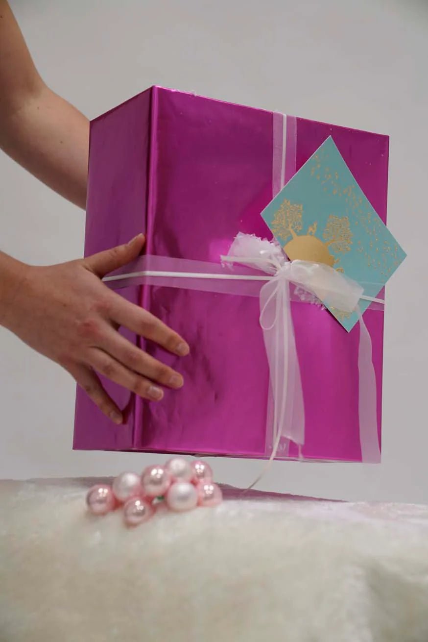 Gespecialiseerde draagconsulentcertificering - leenservice - KOKADI