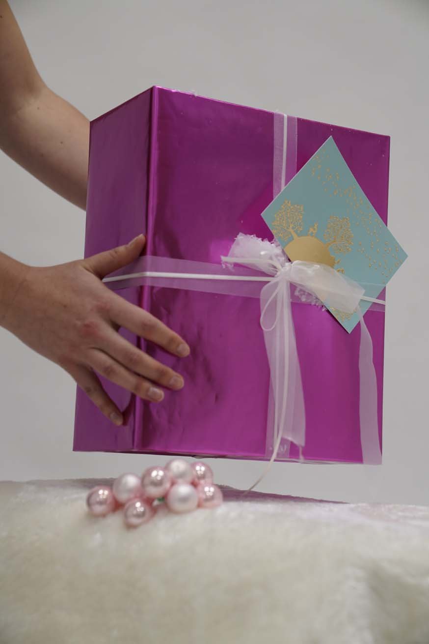 Certificering Specialist Draagconsulent - Basispakket - KOKADI