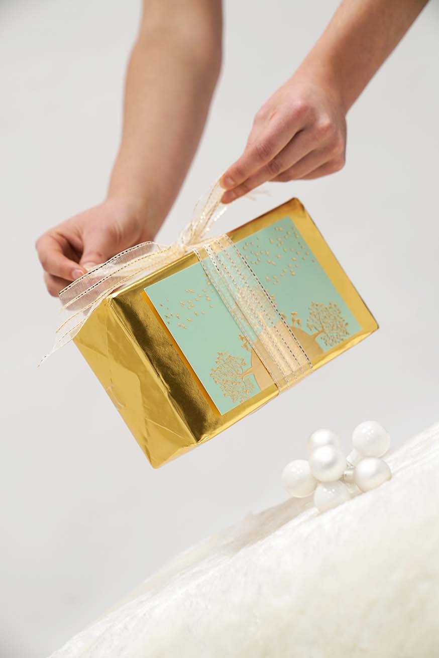 Certificering specialist draagconsulent - Premiumpakket - KOKADI